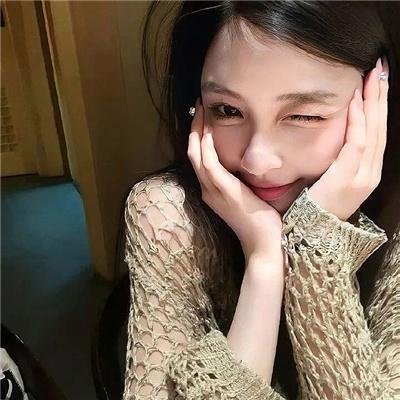 神犬小七第一季